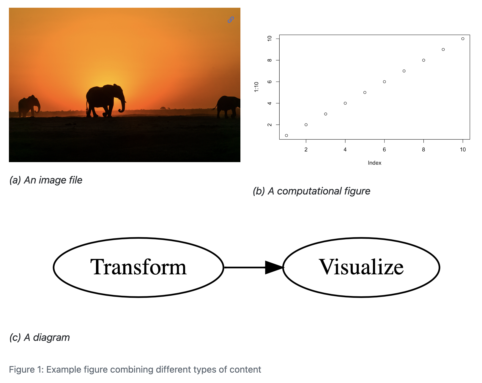 A screenshot of a figure layout with two rows. The top row has two columns: on the left an image of an elephant silhouetted against a sunset with the caption (a) An image file; on the right a scatterplot with the caption (b) A computational figure. In the bottom row is a flow chart with a node Transform linked to the node Visualize with the caption (c) A diagram. Below the layout is the caption: Figure 1: Example figure combining different types of content.