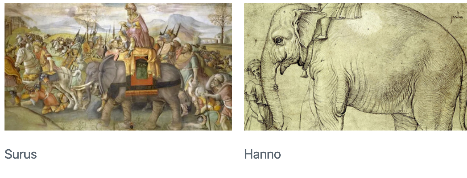 An artistic rendition of Surus, Hannibal's last war elephant, is on the left. Underneath this picture is the caption 'Surus.' On the right is a line drawing of Hanno, a famous elephant. Underneath this picture is the caption 'Hanno.'