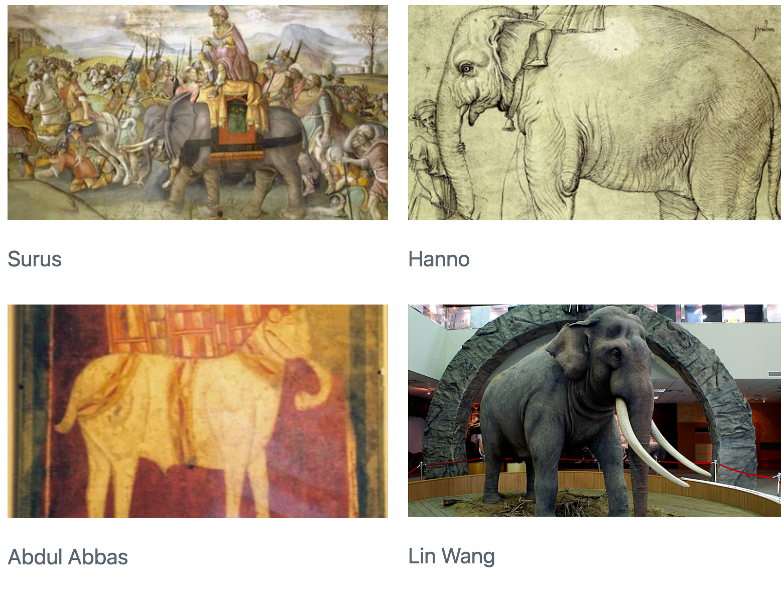 A 2x2 grid of pictures of elephants. There are labels underneath each of the pictures. Clockwise from the upper left, the labels say: Surus, Hanno, Lin Wang, and Abdul Abbas.
