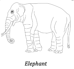 A line drawing of an elephant.