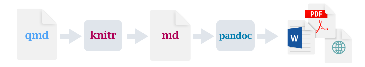 How Quarto works: qmd to knitr to md to pandoc to multiple formats including pdf, HTML and Microsoft Word