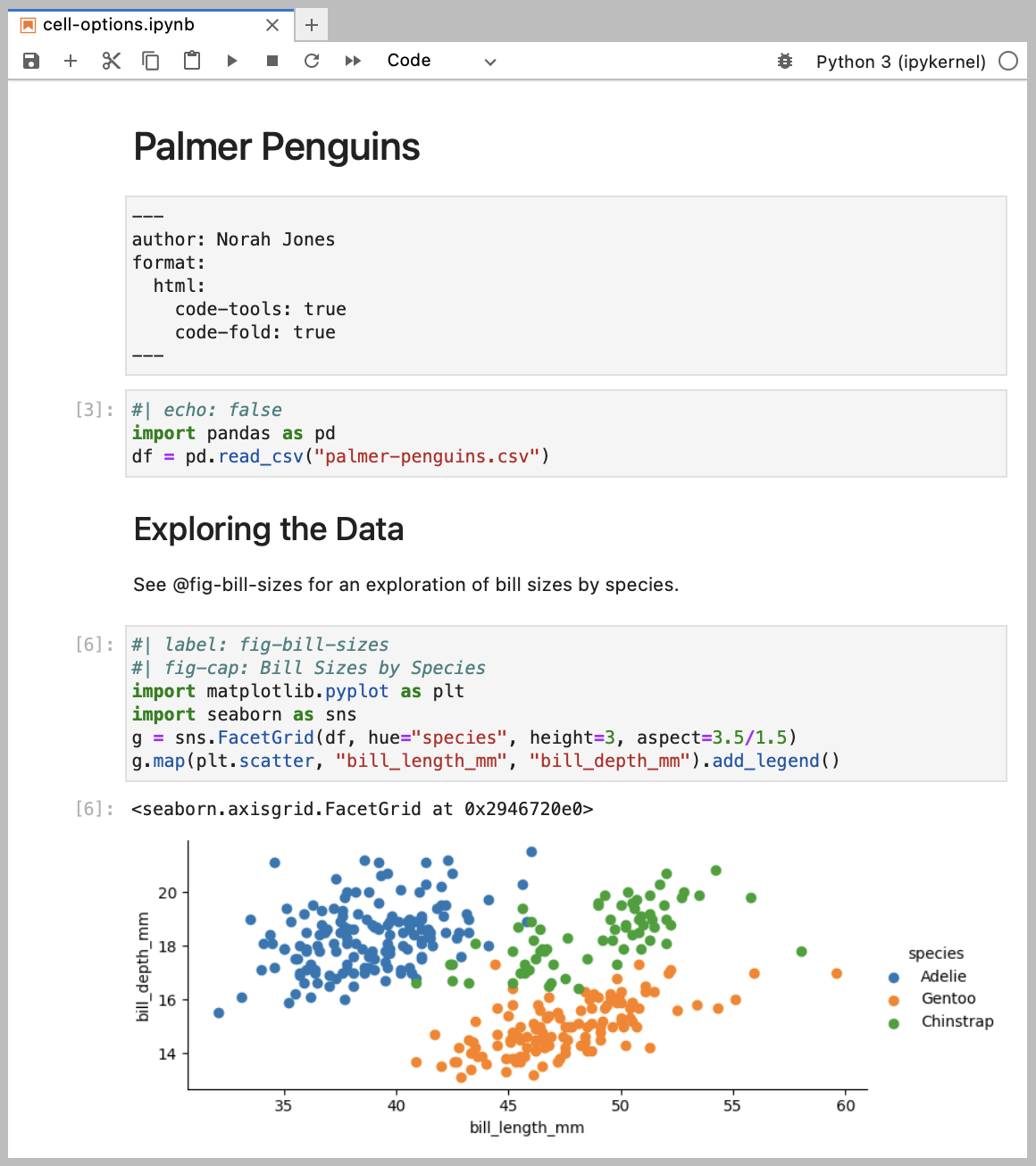 Example Jupyter notebook entitled Palmer Penguins with code cells, text, and a scatterplot.